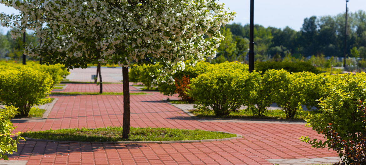 The Washington State College of Ohio (WSCO) Foundation is paving the way for brighter futures for incoming students with a brick campaign to honor the 50th anniversary of the college.